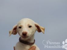 BRISA (21).jpg