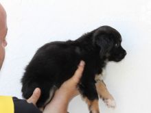 NALA (50).jpg