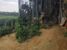 FB_IMG_1744473120069.jpg