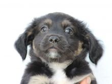 NALA (47).jpg