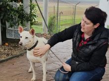 Photo_1770914420003 (1).jpg