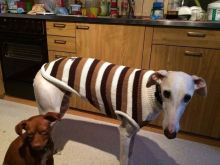 12032023_979495752093110_8503845686395554759_n.jpg