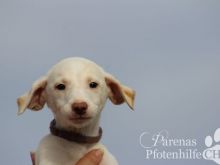 BRISA (19).jpg