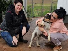 Photo_1770812080716 (1) (2).jpg