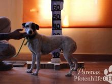 QUIRINA (6).JPG