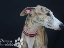 ALMENDRA (18).jpg