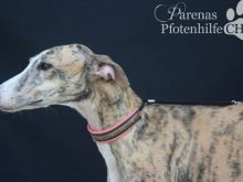 ALMENDRA (28).jpg