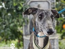 Foto 22.01.26, 18 39 25 (18).jpeg