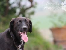 MISCHA1 (52).jpg