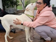 Photo_1770808146459 (1).jpg