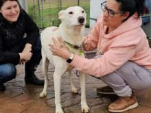 Photo_1770808297182 (1).jpg