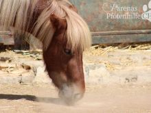 Zoe_0638.jpg