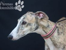 ALMENDRA (12).jpg