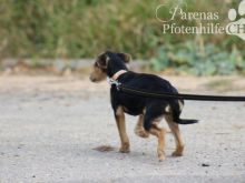 CONCHI (2).jpg