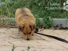 LOUIS (40).jpg