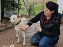 Photo_1770914419544 (1).jpg