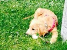 11178242_896593653716654_9071252584311784844_n.jpg