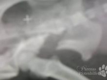 11246440_10204600065350781_1411951641_o.jpg