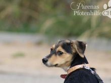 CONCHI (10).jpg
