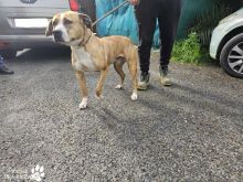 Photo_1707735298439 (1).jpg