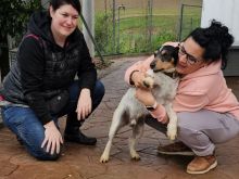 Photo_1770812080716 (1) (1).jpg