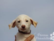 BRISA (14).jpg