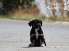 NALA (21).jpg