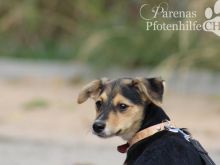 CONCHI (11).jpg