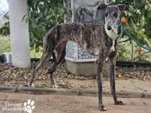 Foto 22.01.26, 18 39 25 (23).jpeg