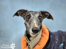 Foto 22.01.26, 18 39 25 (24).jpeg