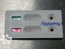 Madonna.jpg