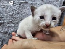 Photo_1778070823894.jpg