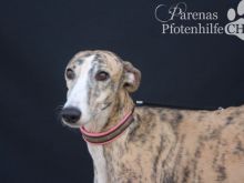 ALMENDRA (27).jpg