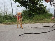 BAXTER1 (20).jpg