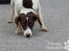 GALADRIEL1 (15).jpg