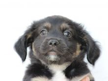 NALA (46).jpg