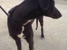 10384359_857855314257155_729991184489348122_n.jpg