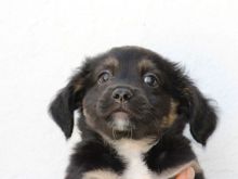 NALA (43).jpg